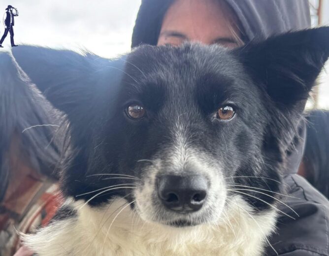 Unidos por el bienestar animal: exitosa jornada en Zhiña y Ayaloma