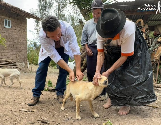 🐾💚 En El Progreso y sus comunidades trabajamos por la salud y bienestar de nuestros animales.